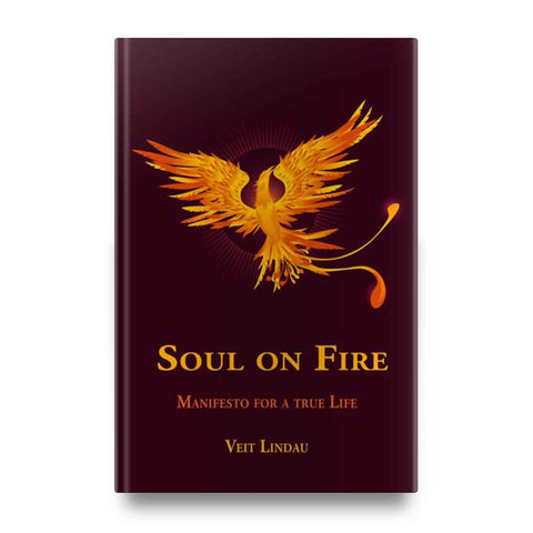 Soul on Fire I True Life Manifesto (English Edition)